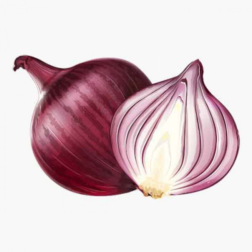 ONION BIG KGS بصل كبير