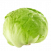 ICEBERG LETTUCE